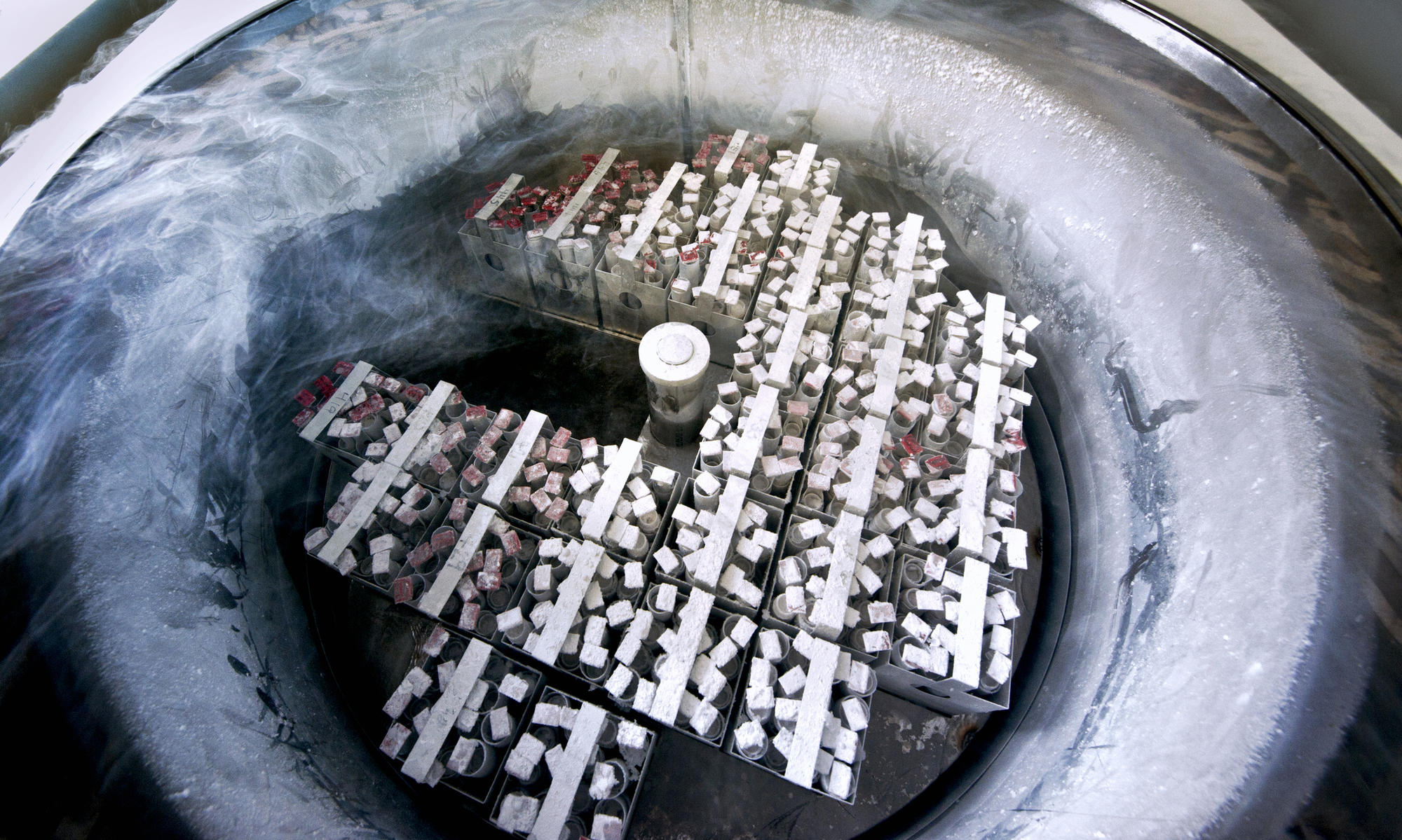 Egg and Embryo Storage Tank