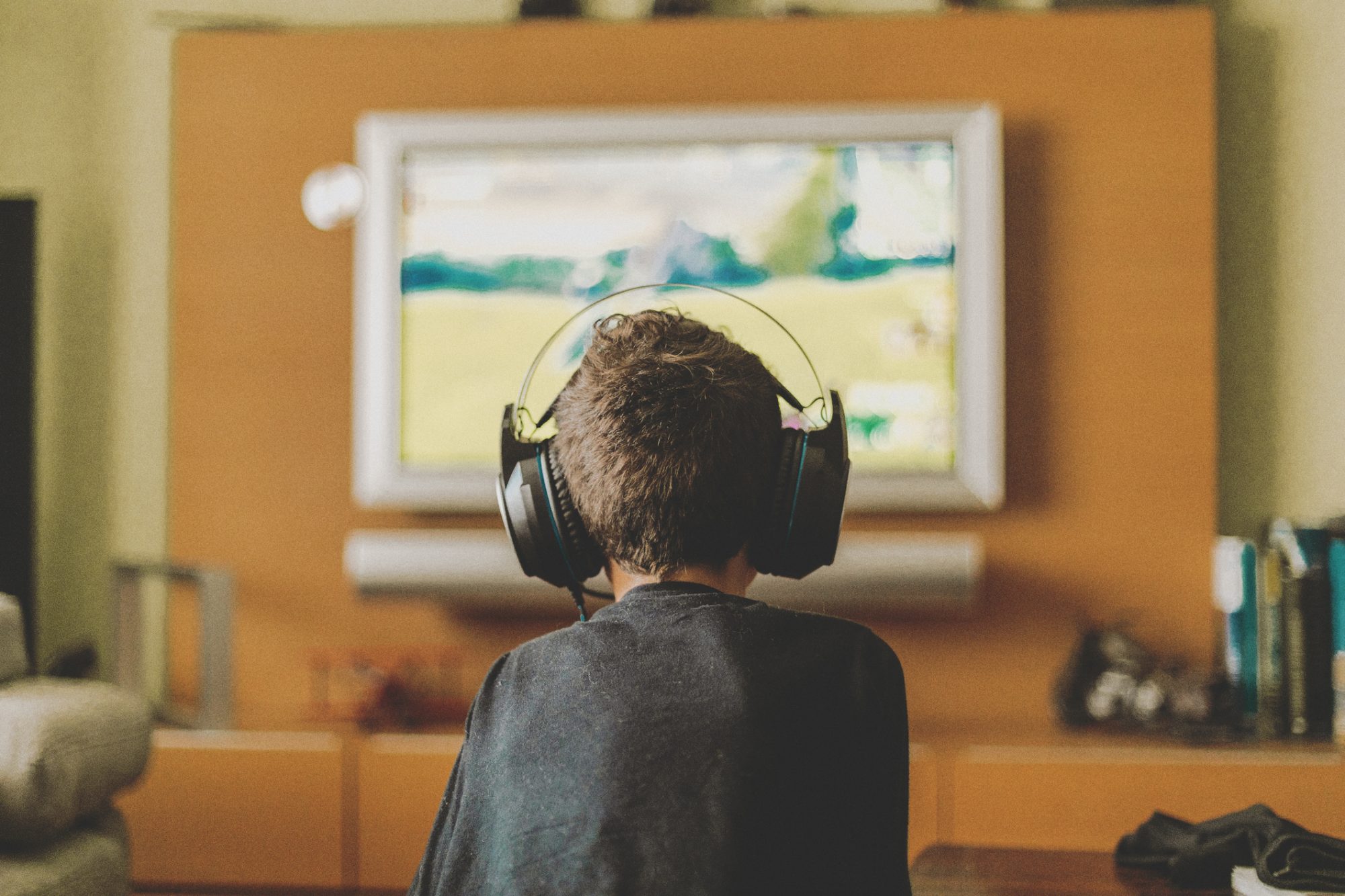 back view of boy playing game console at home