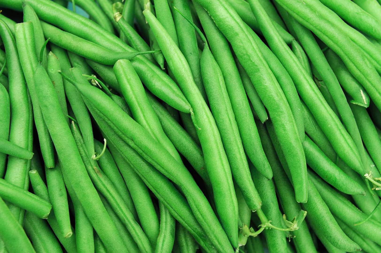 Green String Beans