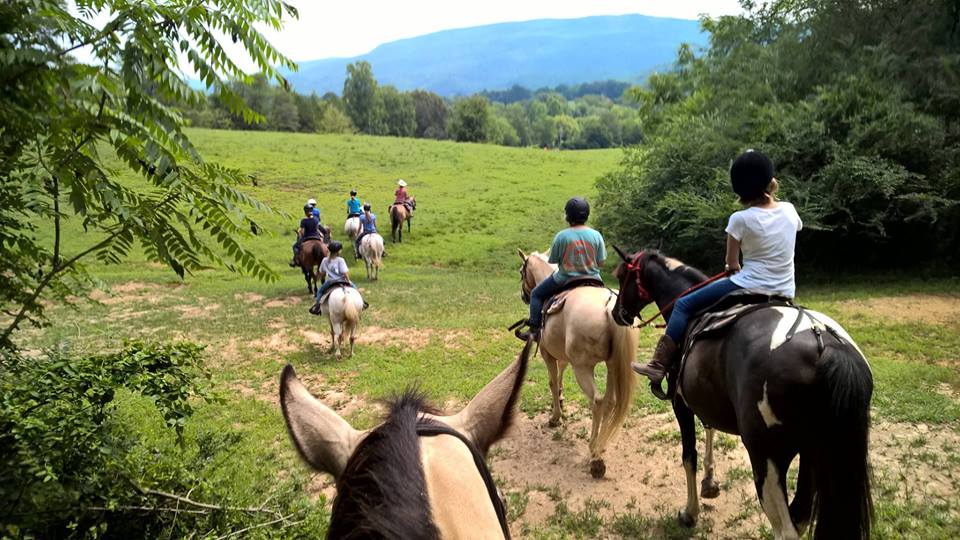 Farm Stay Tennessee