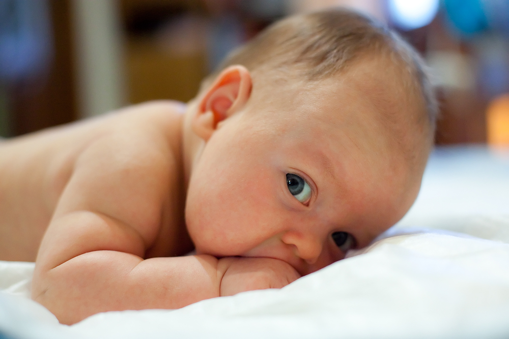 Baby laying on tummy, sucking his fist