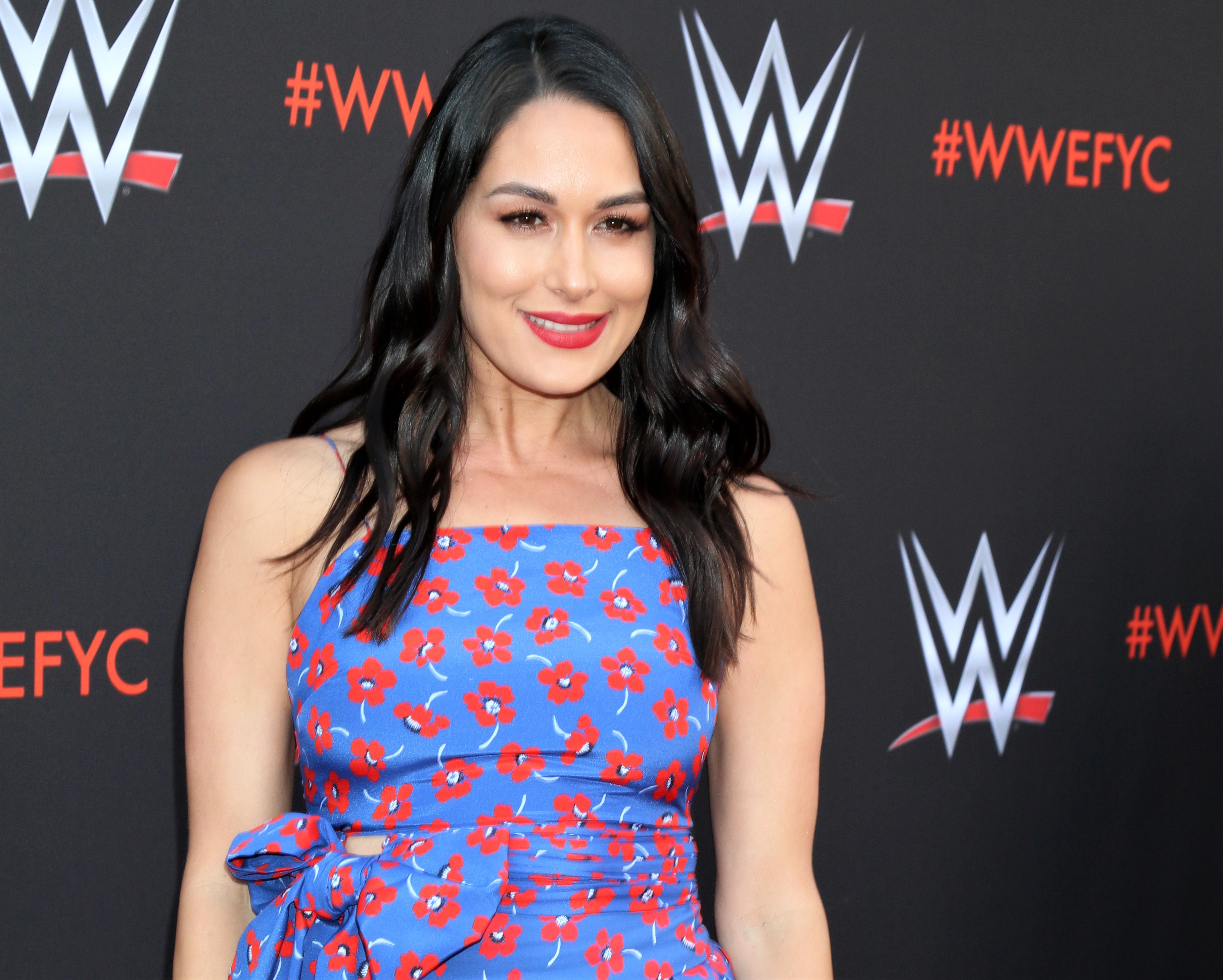 Brie Bella Blue Red Floral Dress WWE Carpet